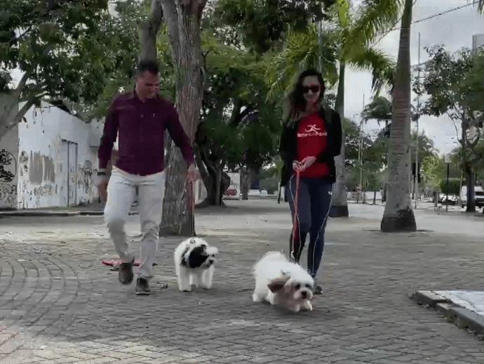 SESI realiza, no próximo domingo (17), uma corrida que vai reunir pets e cuidadores de pets.