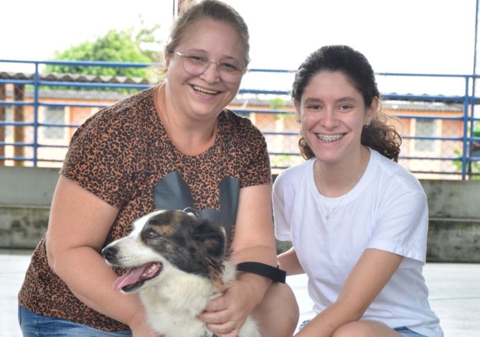 Prefeitura de Campina Grande promove feira de adoção de cães e gatos neste sábado (17)