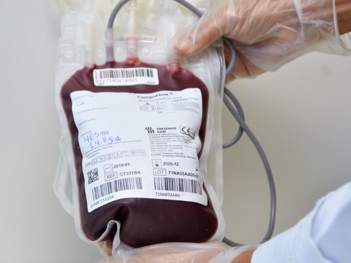 Retomada do atendimento de doação de sangue e medula óssea, em Maceió.