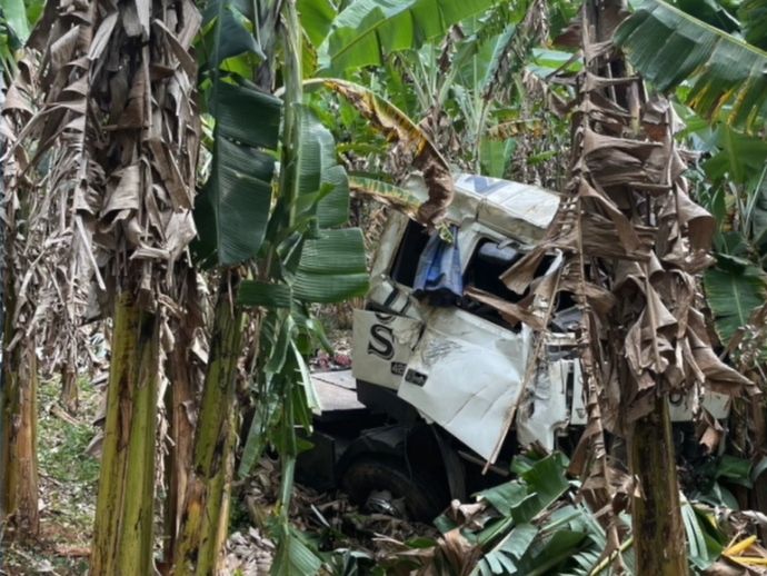 Acidente com trio elétrico zeus deixa três mortos em Machados