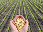 Programa Alagoas Sem Fome fortalece a agricultura familiar.