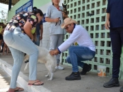 Campanha de Vacinação Antirrábica acontece neste sábado (31), em Campina Grande